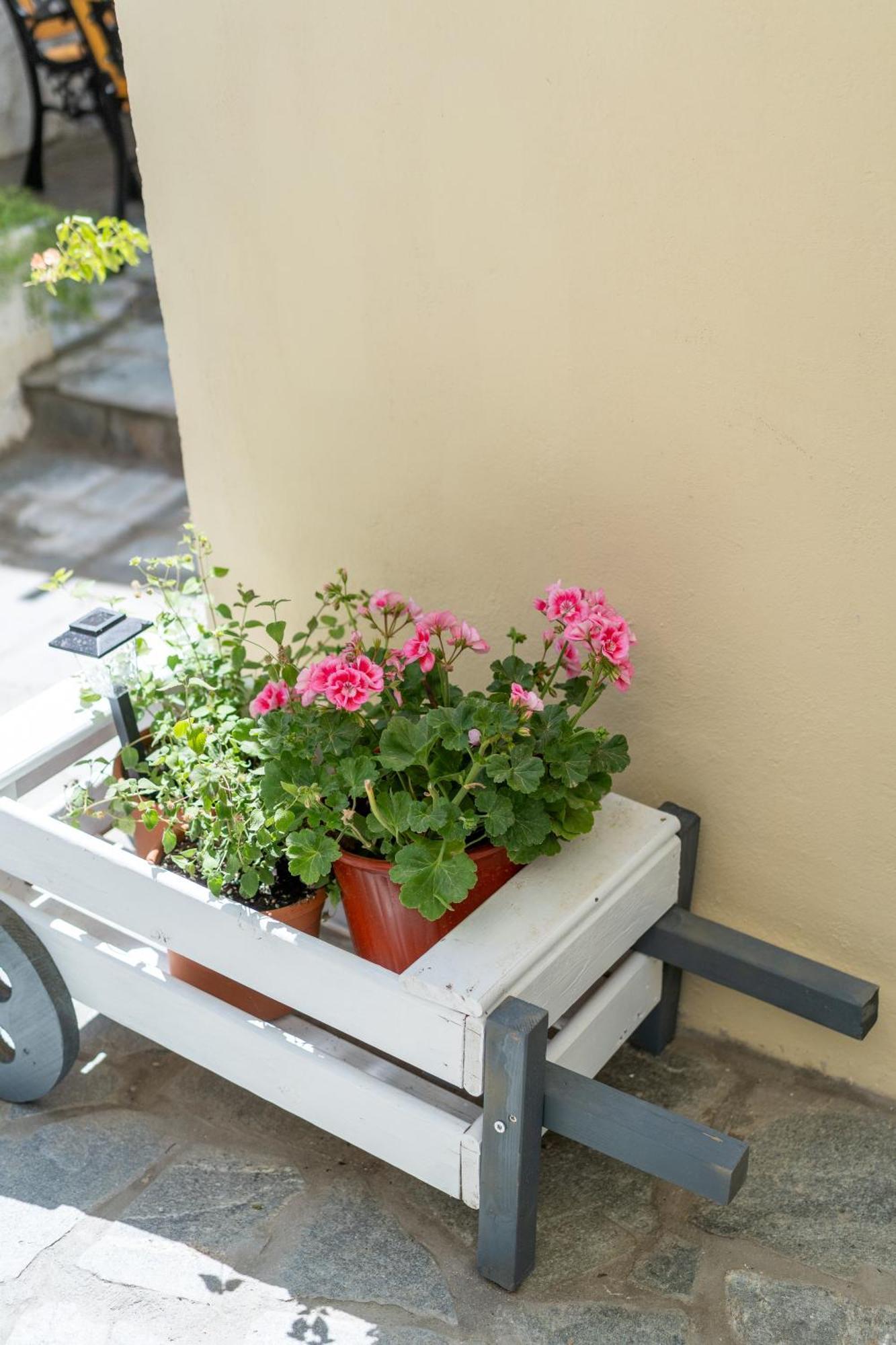 Spacious Home With Yard, Mytilene Lesvos Exterior foto